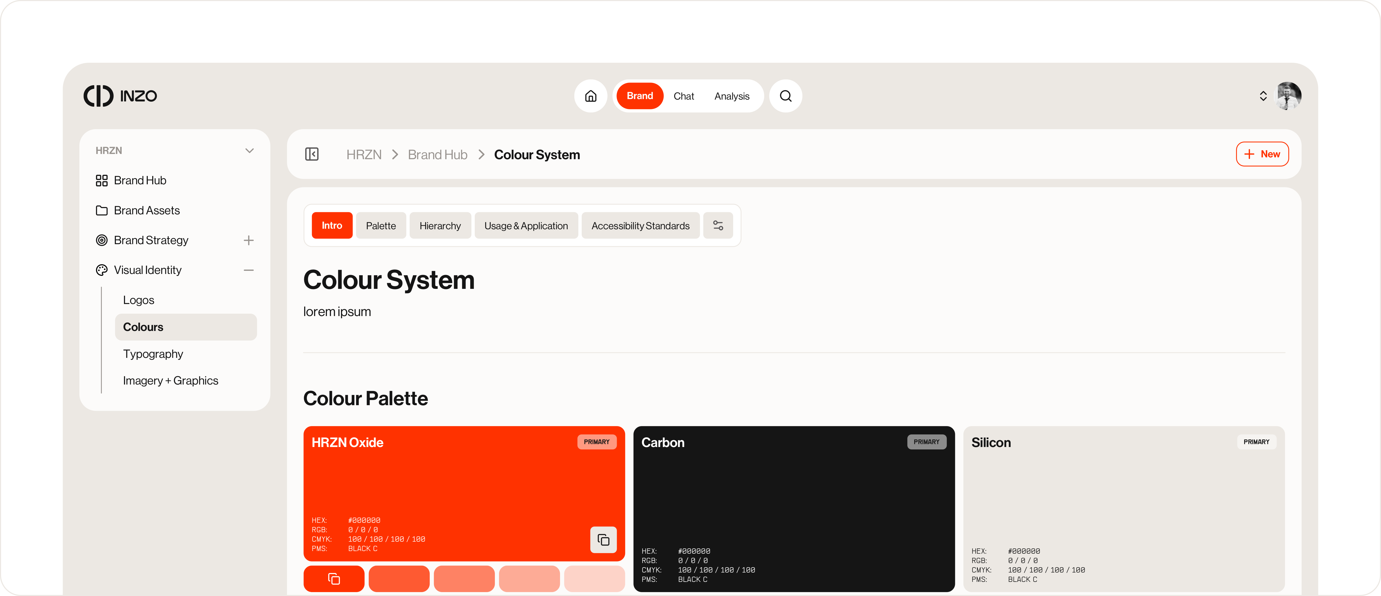 Brand Hub UI mockup showing the colour system panel